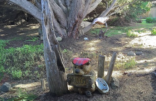 Mendocino Casa | Whale Watch House: Frente al mar / Cerca de Mendo Village / un retiro privado
