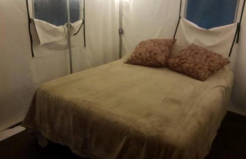 Grandview Otro | Whimsical Forest Safari Tent Haven Near Laurel Creek, Tennessee
