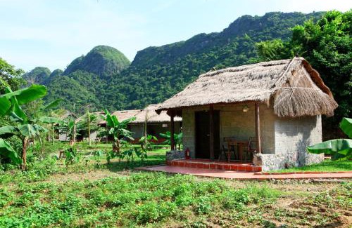 Cat Hai Complejo | Whisper Nature Bungalow & Resort