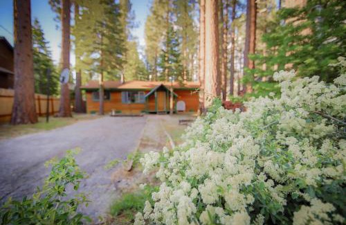 North Upper Truckee Casa | Whispering Pines Cabin - Family & Pet Friendly Abode