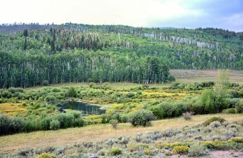 Walden Casa | Whistle Pig Retreat at 22 West Cabins and Recreation
