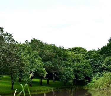 Empangeni Casa | Whistling Woods