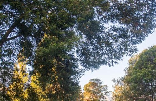 Witzenberg Casa | White Bridge Farm Accommodation