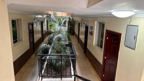 Kileleshwa Hotel | White Star Hotel