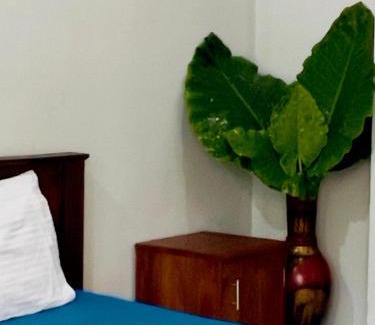 Hikkaduwa Casa | White Whale Villa Ambalangoda