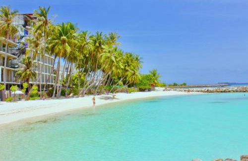 Maafushi Casa | WhiteShell Island Hotel & Spa