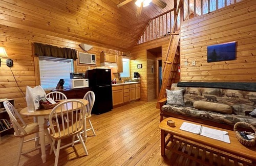Laurel Springs Cabina | Acogedora cabaña cerca de Blue Ridge Parkway, admite mascotas, estanque, gas FRPL