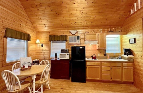 Laurel Springs Cabina | Acogedora cabaña cerca de Blue Ridge Parkway, admite mascotas, estanque, gas FRPL