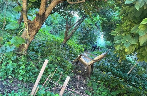 Springfield Casa | Whitt’s End -- a spacious private lodging in a historic Springfield neighborhood