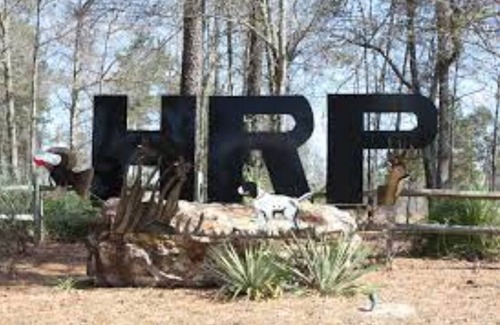 Millen Casa | Whole house with fenced in backyard & patio, Fully supplied kitchen, etc!
