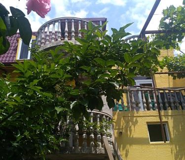 Tbilisi Casa | Why Me Eco-friendly Rooms