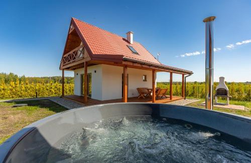 Dabrowno Casa | Wichrowe Wzgórze Chill House Jabłonowo