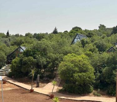 Borma Casa | Widian al-sham huts