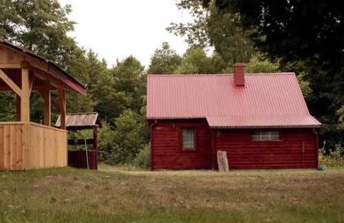 gmina Mielnik Casa | Wiejski domek w środku lasu Osłowo Mielnik