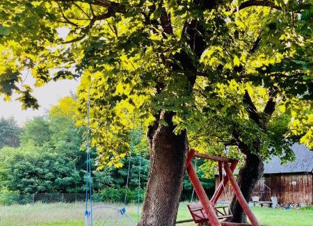 gmina Mielnik Casa | Wiejski domek w środku lasu Osłowo Mielnik