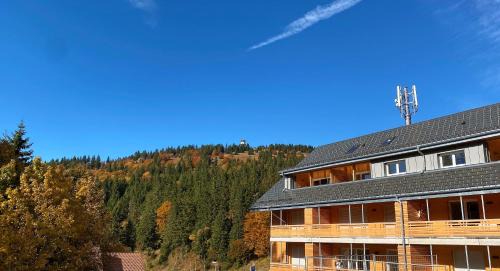 Feldberg Apartamento | Wiesenquell Apartment Feldberg