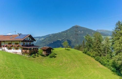 Kaltenbach Apartamento | Wieshof