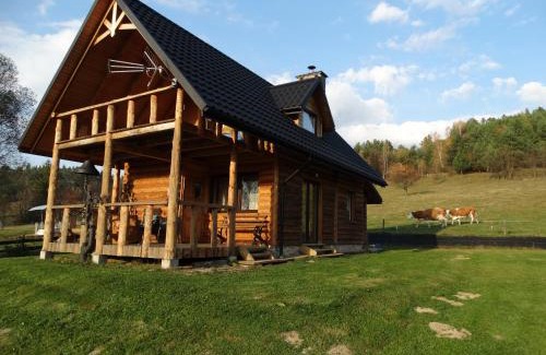Rabe Chalet De Esquí | Wilczy Mszaniec