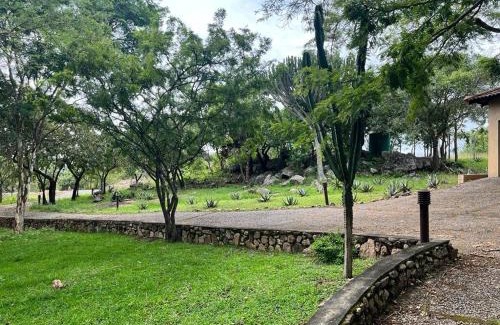 Nelspruit Casa | Wild Antelope on your doorstep!