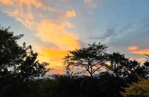 Nelspruit Casa | Wild Antelope on your doorstep!