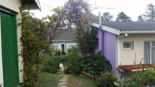 Mooirivier Cama Y Desayuno | Wild Berry Guest Farm