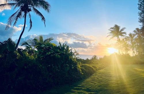 Kapoho Casa | Wild Blue Water