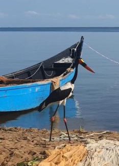 Buhaguzi Otro | Wild Camping Lake Albert Shores