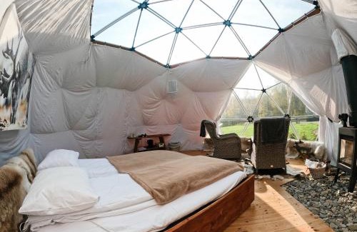 Porsanger Otro | Wild Caribou Dome