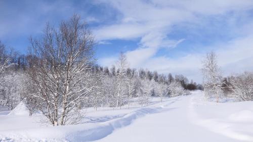 Porsanger Cabina | Wild Caribou's Wildwood Cabin