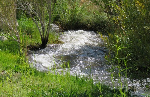 Dyer Casa | Wild Creek es una acogedora casa de estilo europeo en un arroyo durante todo el año.
