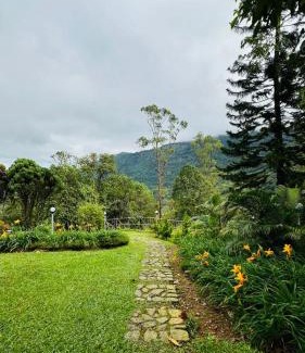 Devikolam Hotel | Wild Elephant Resort