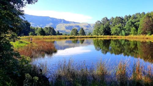 Mpofana Casa | Wild Hunters Cabin