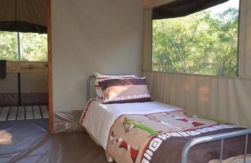 Thorny Bush Game Reserve Otro | Wild Olive Tree Camp
