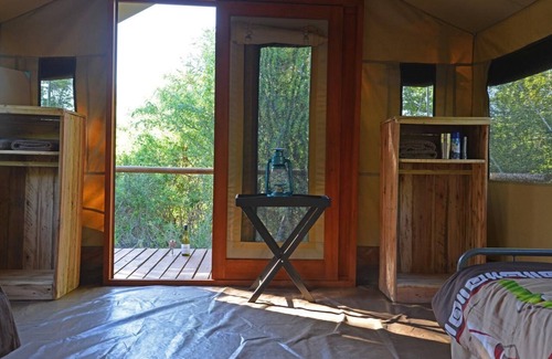 Thorny Bush Game Reserve Otro | Wild Olive Tree Camp