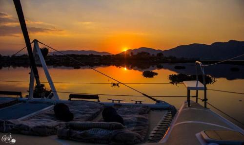 Kosmos Alquiler De Eote | Wildcat Catamaran Cruises