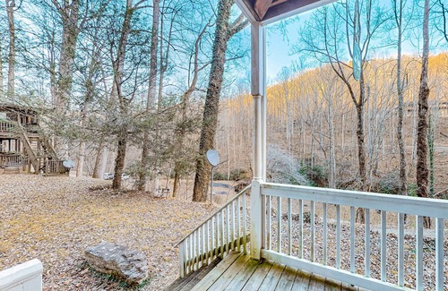 Sylva Apartamento | Wilderness studio with kitchenette, jetted tub, smart TV, & AC - dog-friendly