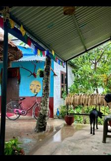 Meghauli Casa | Wildflow jungle yoga safari and homestay
