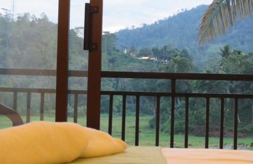 Kotapola Hotel | Wildlife Kingdom - Deniyaya Sinharaja