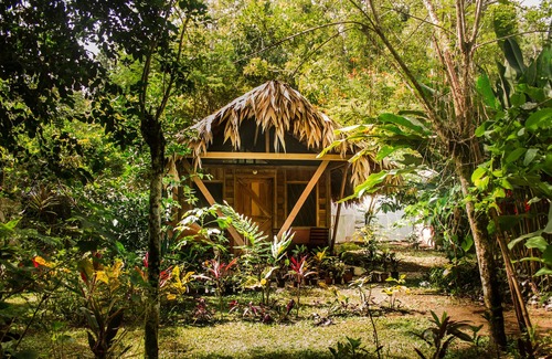 Cahuita Cabina | Wildlife Lodge Cahuita