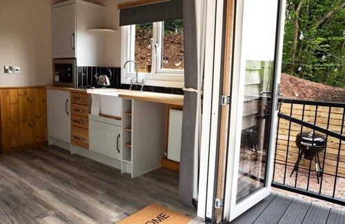 Hendrerwydd Cabina | Wildwood quarry Cabin - Pet Friendly - Sleeps 3/4