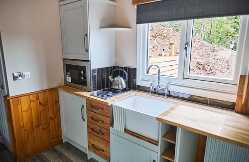 Hendrerwydd Cabina | Wildwood quarry Cabin - Pet Friendly - Sleeps 3/4