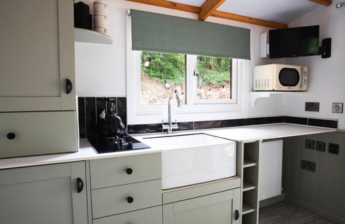 Hendrerwydd Cabina | Wildwood quarry Cabin - Pet Friendly - Sleeps 3/4