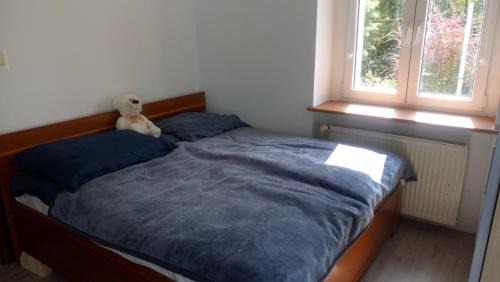Gorzow Wielkopolski Apartamento | Willa Alba