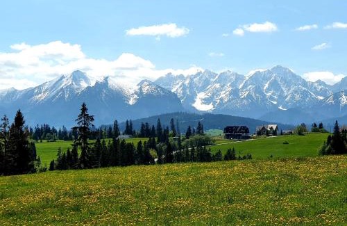 Bukowina Tatrzanska Apartamento | Willa Pasieka Apartamenty Domki