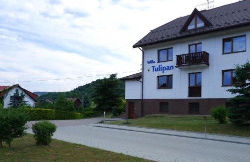 gmina Kamienica Casa | Willa Tulipan