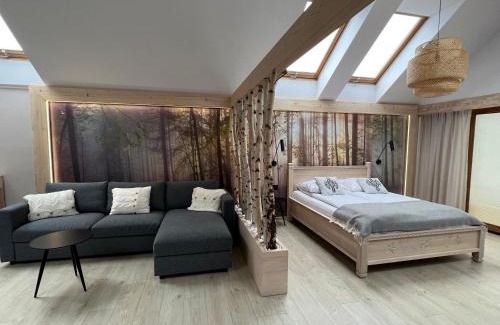 Sromowce Nizne Casa | Willa Wójcik Apartamenty i Pokoje
