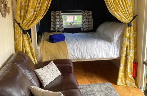 Sidmouth Otro | Willow Brook Shepherd Hut