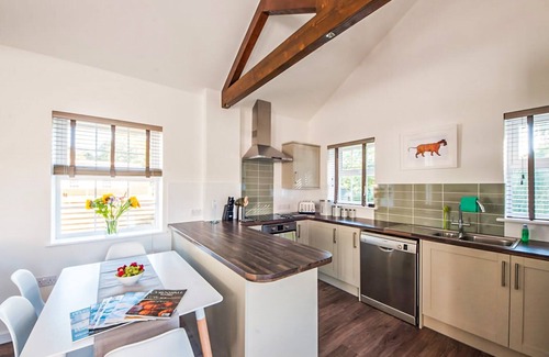 Saltash Cabaña | Willow Cottage - UK38484