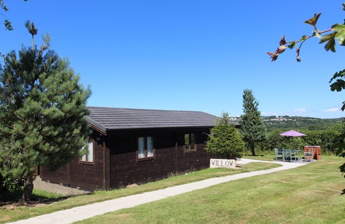 Bodmin Cabaña | Willow Lodge