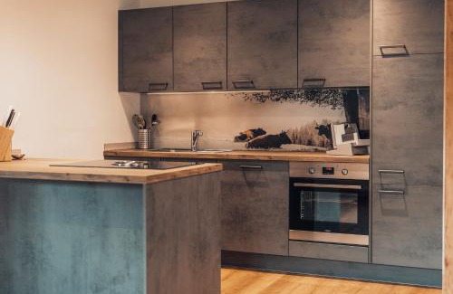 Sankt Martin am Tennengebirge Apartamento | Wimmhof